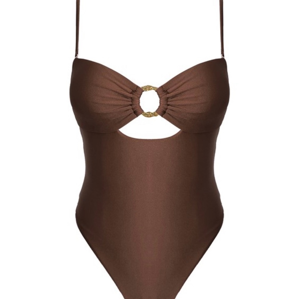 Sophisticated Brown One-Piece Swimsuit